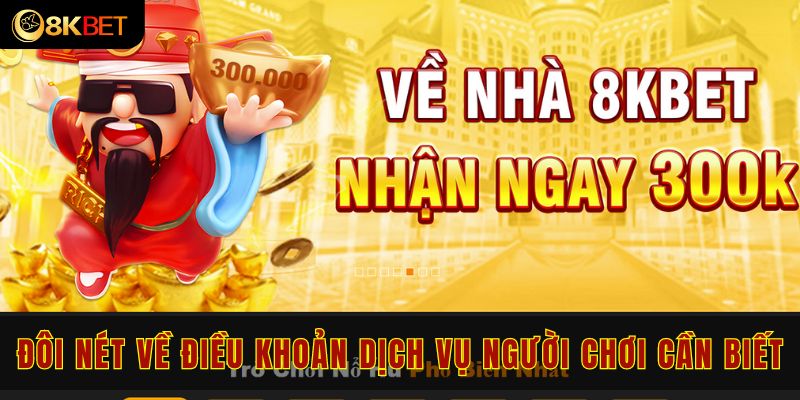 Đôi nét về điều khoản dịch vụ người chơi cần biết