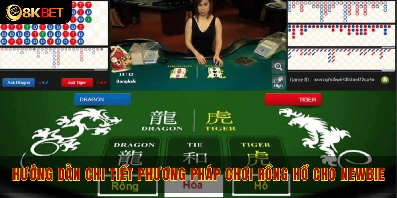 Hướng dẫn chi tiết phương pháp chơi rồng hổ cho newbie